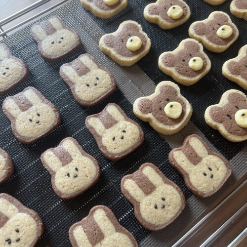 クッキー画像用 IMG_C3B9136E136E-1-500x500.jpeg